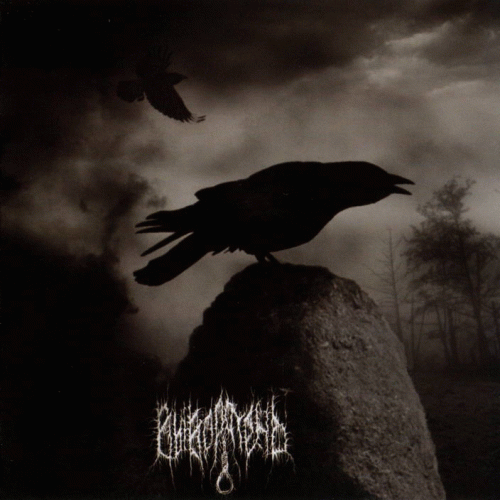 Vyvoroten : With the Last Drop of Melt Water - In the Ground